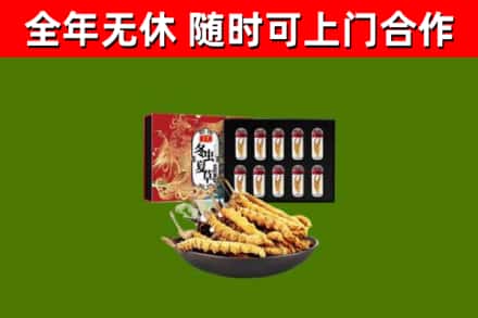 故城烟酒回收冬虫夏草礼盒.jpg
